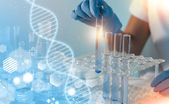 Buffers or Kits for Nucleic Acids Electrophoresis