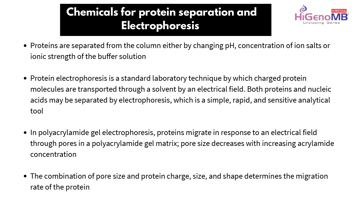 Chemicals for Protein Separation and Electrophoresis