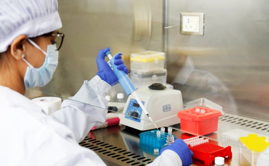 PCR Enhancers