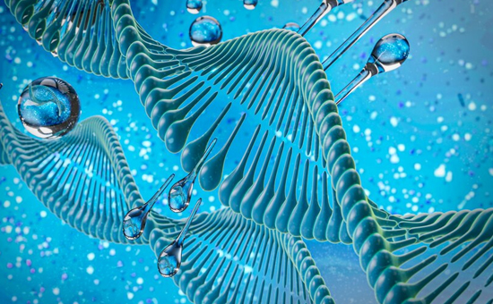 Reverse Transcription Enzymes
