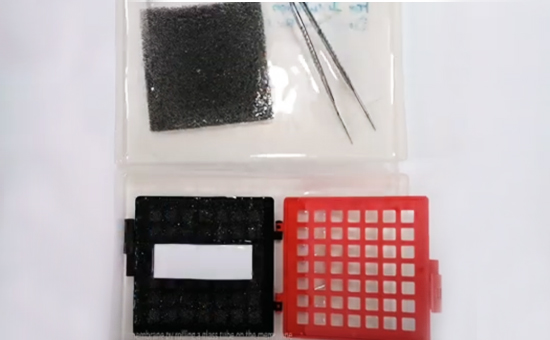Reagents for Southern & Northern Blotting