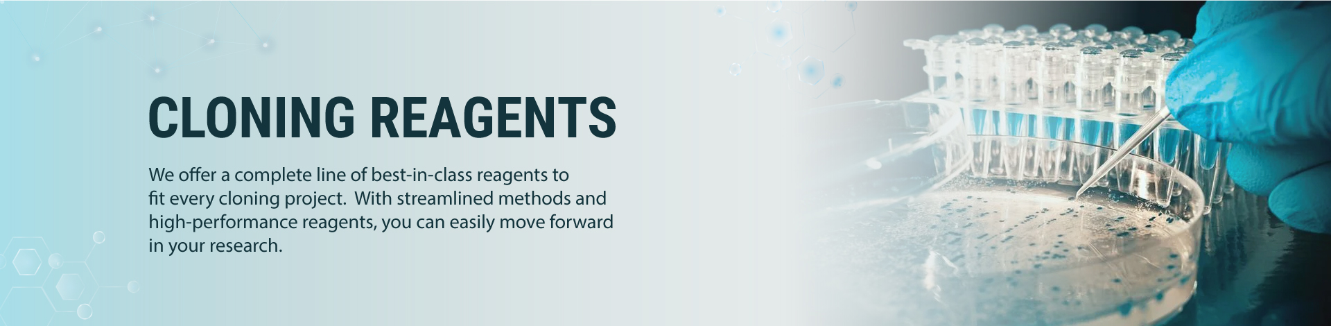 Cloning and Cloning Reagents Cloning and Cloning Reagents