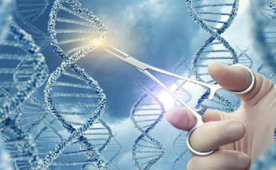 Modifying Enzymes