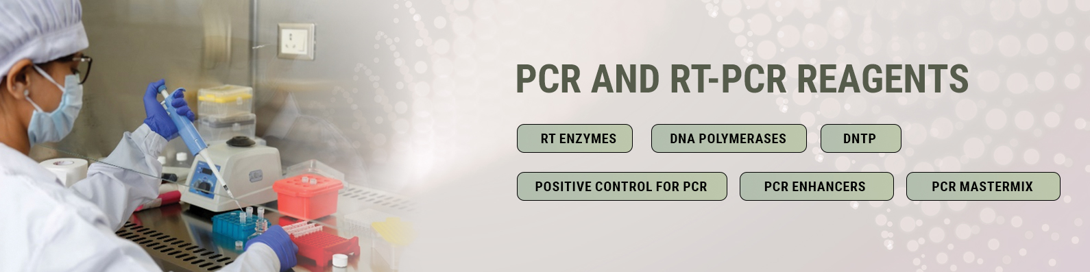 PCR and RT-PCR Reagents PCR and RT-PCR Reagents