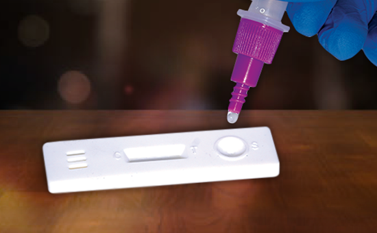 Rapid Lateral Flow Assay Kits