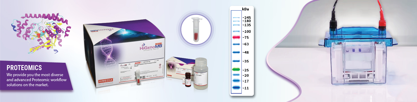 Proteomics