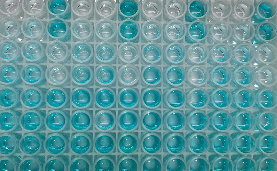 Reagents and Consumables for ELISA