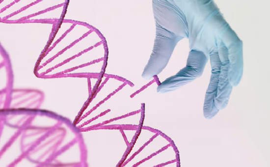 Restriction Enzymes