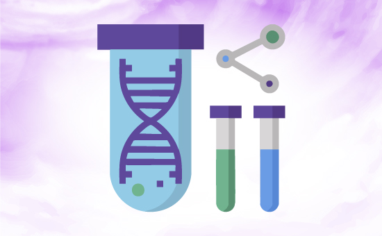 Universal PCR Kits