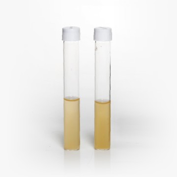 Pikovskaya’s Broth (Medium), Granulated