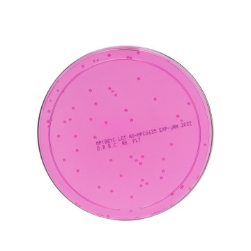 Dichloran Rose Bengal Chloramphenicol (DRBC) Agar Plate (100mm plate)
