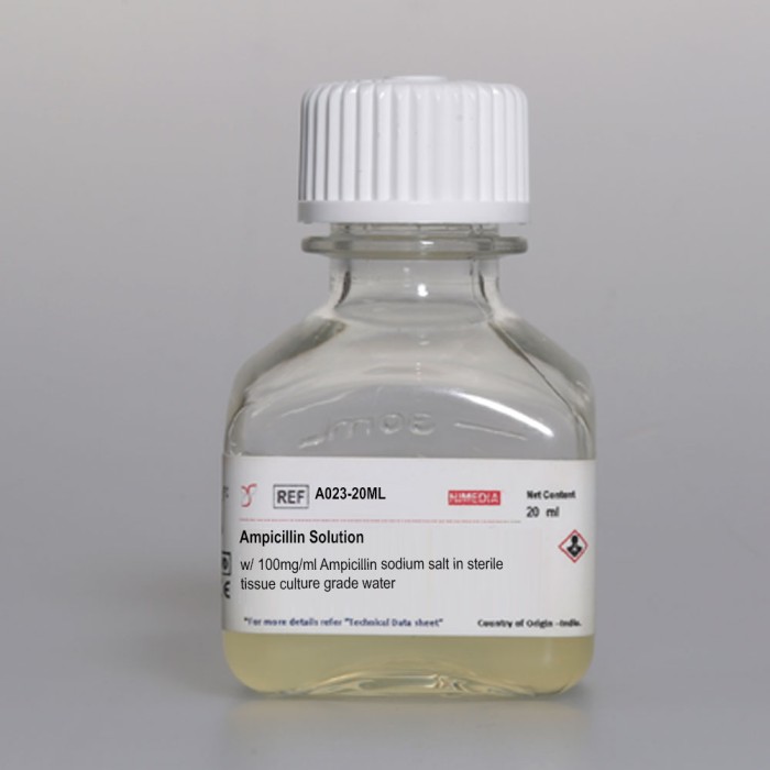 Ampicillin Solution w/ 100mg/ml Ampicillin sodium salt in sterile tissue culture grade water