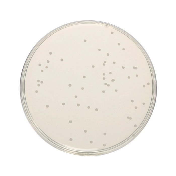 HiEncap™ Nutrient Agar