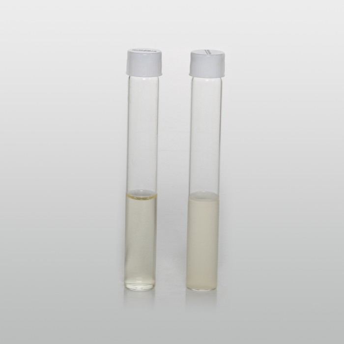 HiEncap™ Sabouraud Dextrose Broth (HiEncap™  Sabouraud Liquid Medium)