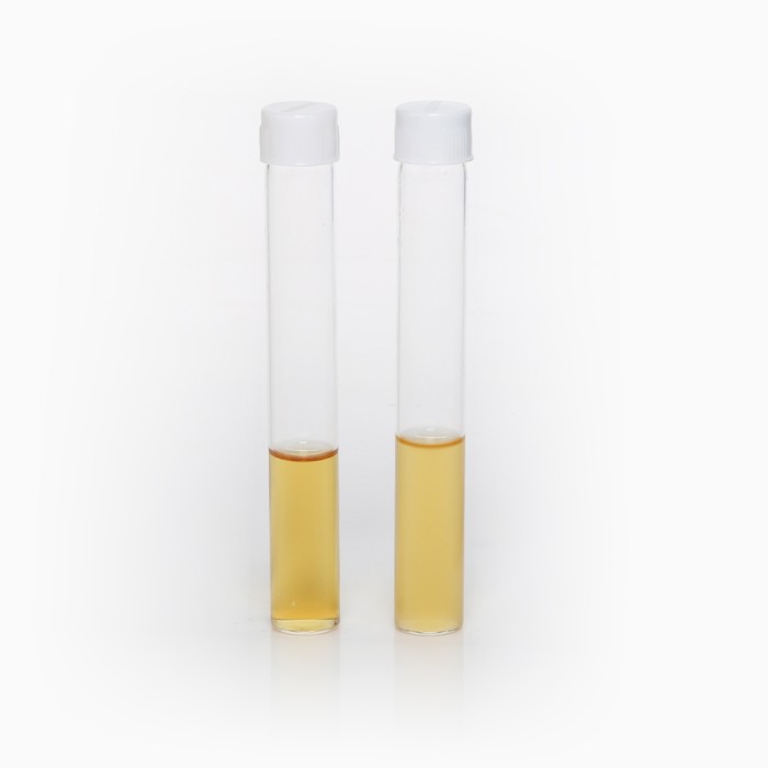 Lactobacillus MRS Broth, Granulated  (MRS Broth, Granulated)