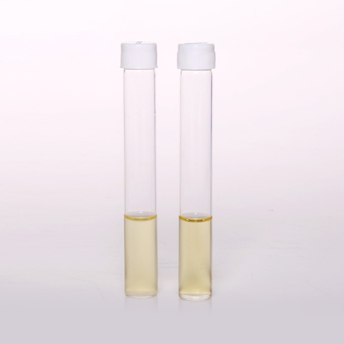 Casein Soyabean Digest Broth, Granulated,  Sterile (Soyabean Casein Digest Medium,  Granulated, Sterile) 