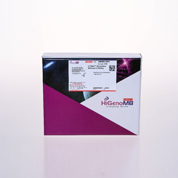 HiFiBloE™ Nitrocelluose Membrane for Blotting
