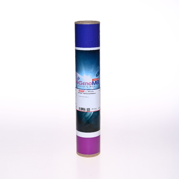 HiFiBloE™ Nitrocelluose Membrane for Blotting