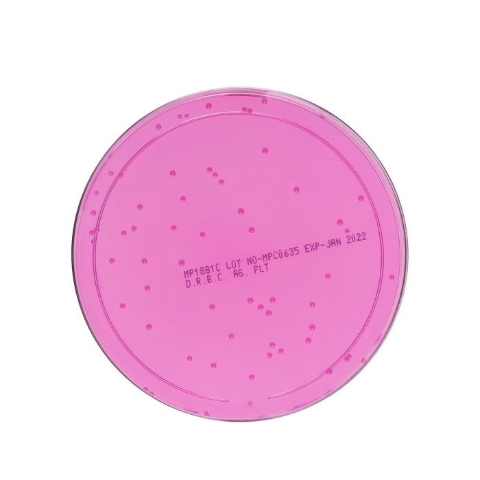 Dichloran Rose Bengal Chloramphenicol (DRBC) Agar Plate (100mm plate)