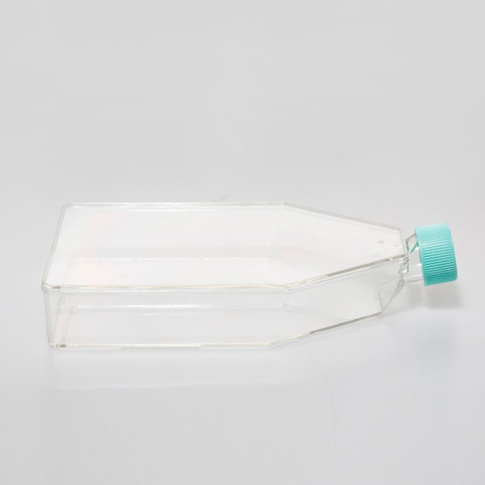 Tissue Culture Flask