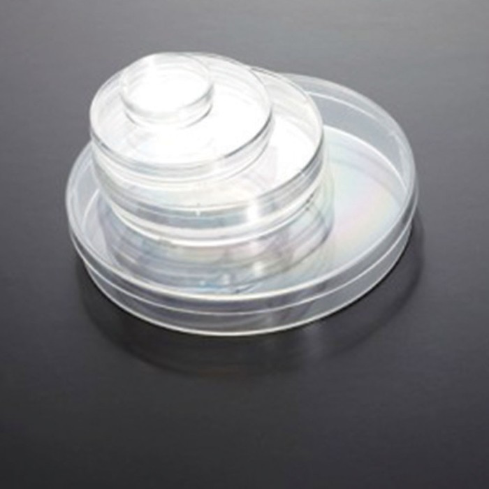 Cell Culture Dish