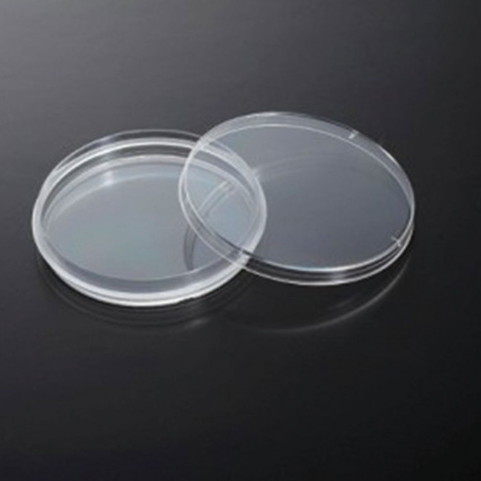 Cell Culture Dish