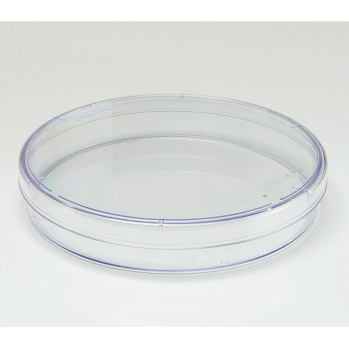 Cell Culture Dish, Surface treated