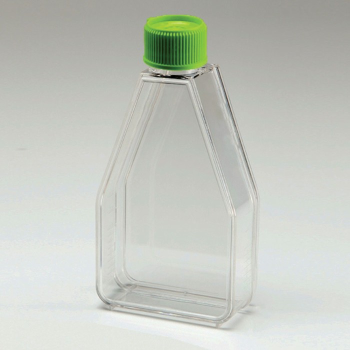 Tissue Culture Flask, Surface Treated