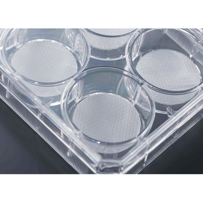 Cell Culture Scaffold, 6 well Plate