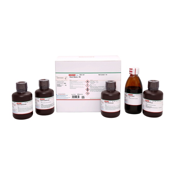 Gram Stains - Kit (contains S012, S032, S013 and S027 or S038)