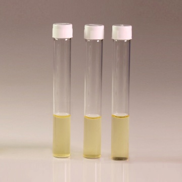 HiEncap™ Luria Bertani Broth, Miller (HiEncap™ Miller Luria Bertani Broth)