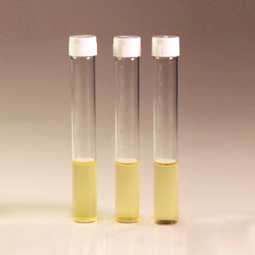 HiEncap™ Luria Bertani Broth, Miller (HiEncap™ Miller Luria Bertani Broth)