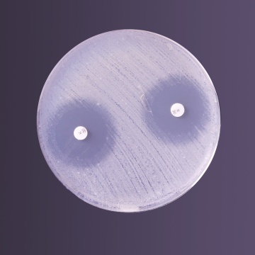 Antimicrobial Inhibitor Test Agar pH 6.0, Granulated