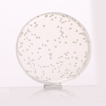 Potato Dextrose Agar, Granulated 