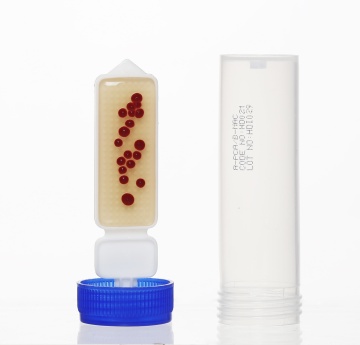 HiDip™ PCA - MacConkey Agar Medium