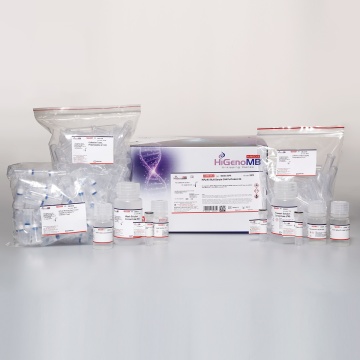 HiPurA® Multi-Sample DNA Purification Kit