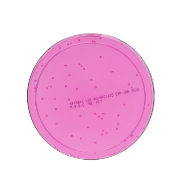 Dichloran Rose Bengal Chloramphenicol (DRBC) Agar Plate (100mm plate)
