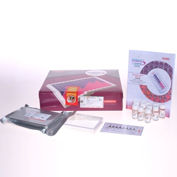 Ampicillin