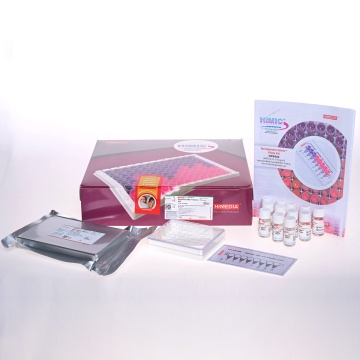 Meropenem