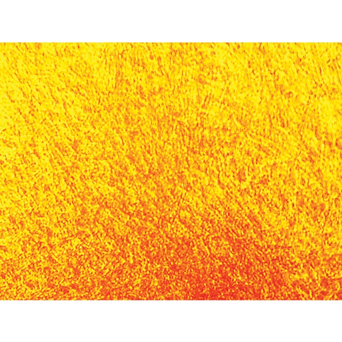 HiDiff™ Osteogenesis Assay Kit