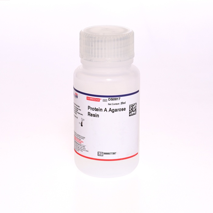 Protein A Agarose Resin