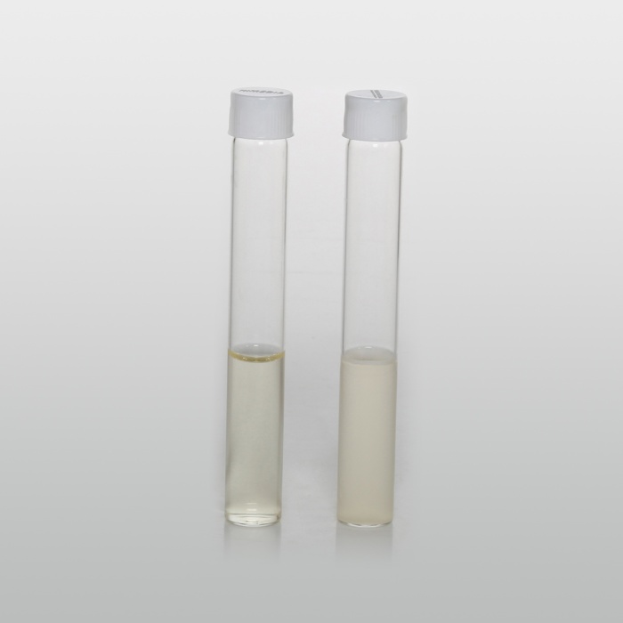 HiEncap™ Sabouraud Dextrose Broth (HiEncap™  Sabouraud Liquid Medium)