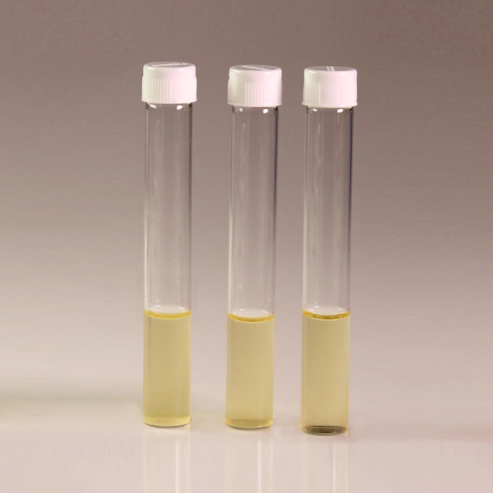 HiEncap™ Luria Bertani Broth, Miller (HiEncap™ Miller Luria Bertani Broth)