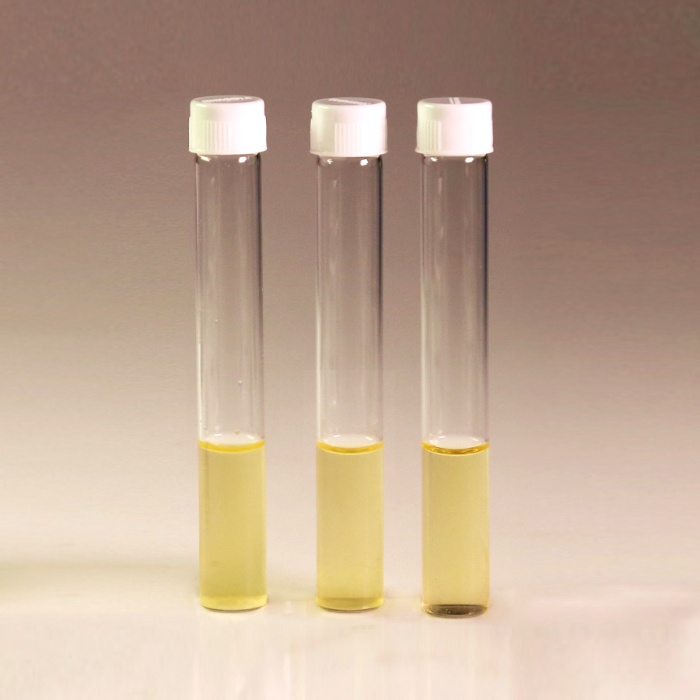 HiEncap™ Luria Bertani Broth, Miller (HiEncap™ Miller Luria Bertani Broth)