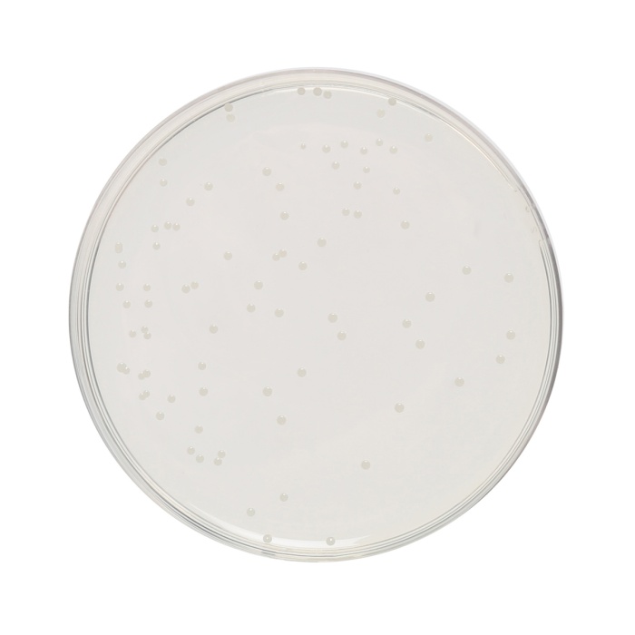 Tryptone Glucose Extract Agar, Granulated  (Tryptone Glucose Yeast Extract Agar,  Granulated)