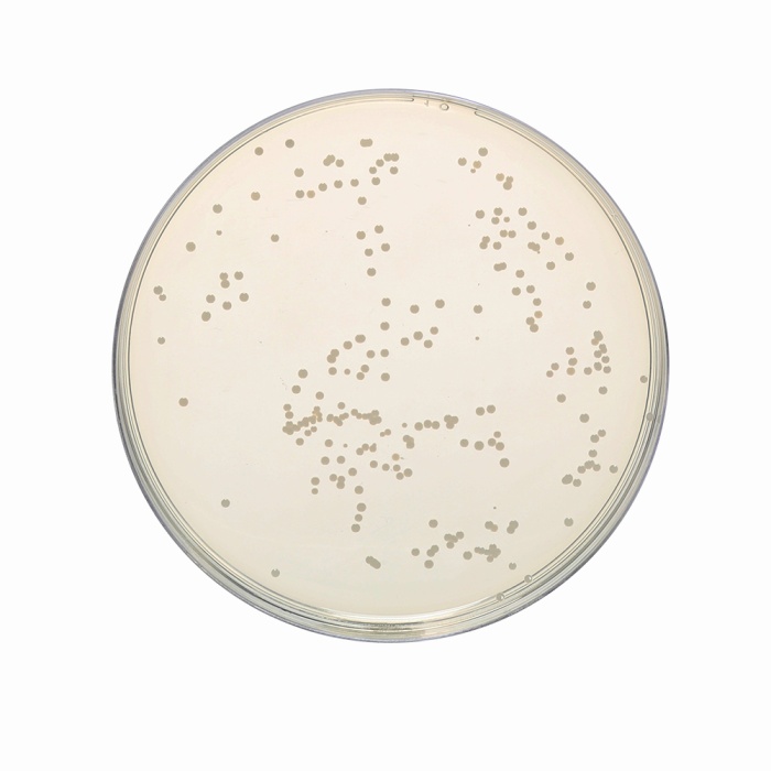 SM Plate Count Agar, Granulated