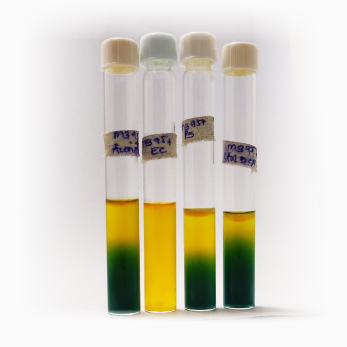 OF Basal Medium, Granulated