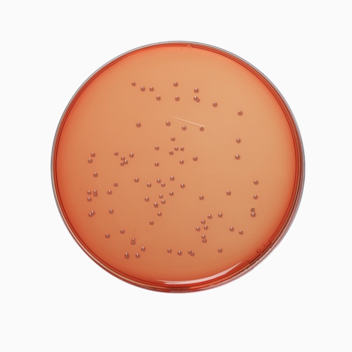 Nutrient Agar, pH 7.0, Granulated