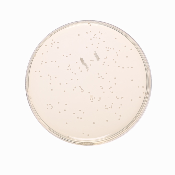 M17 Agar Base, Granulated