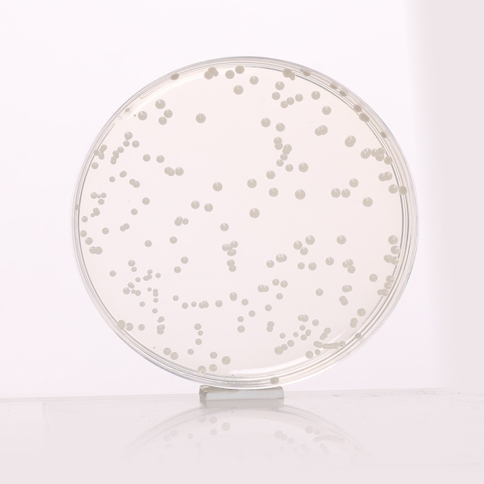 Potato Dextrose Agar, Granulated 